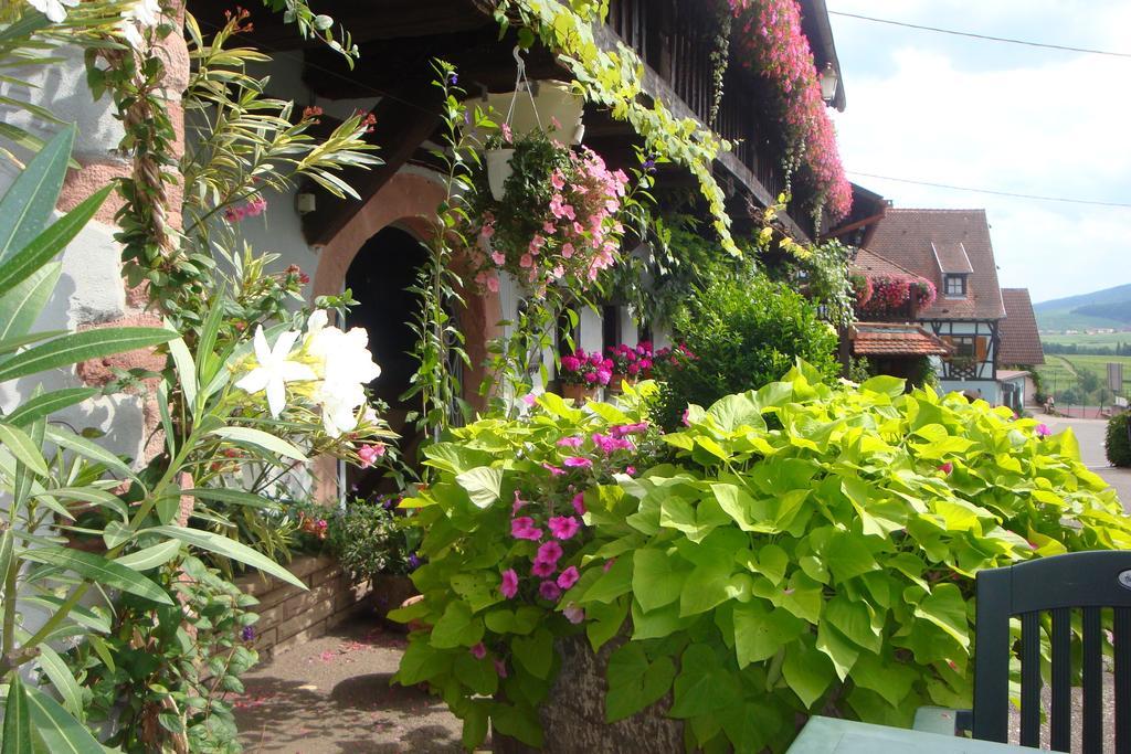 Hotel Kieffer Itterswiller Exterior photo