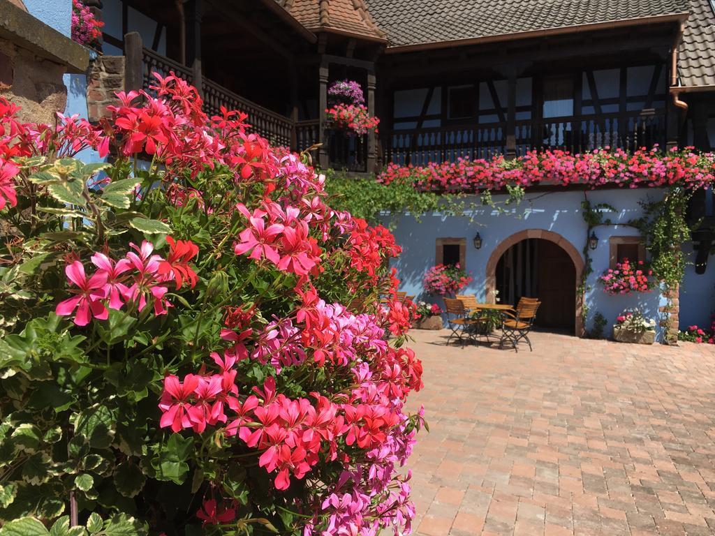 Hotel Kieffer Itterswiller Exterior photo